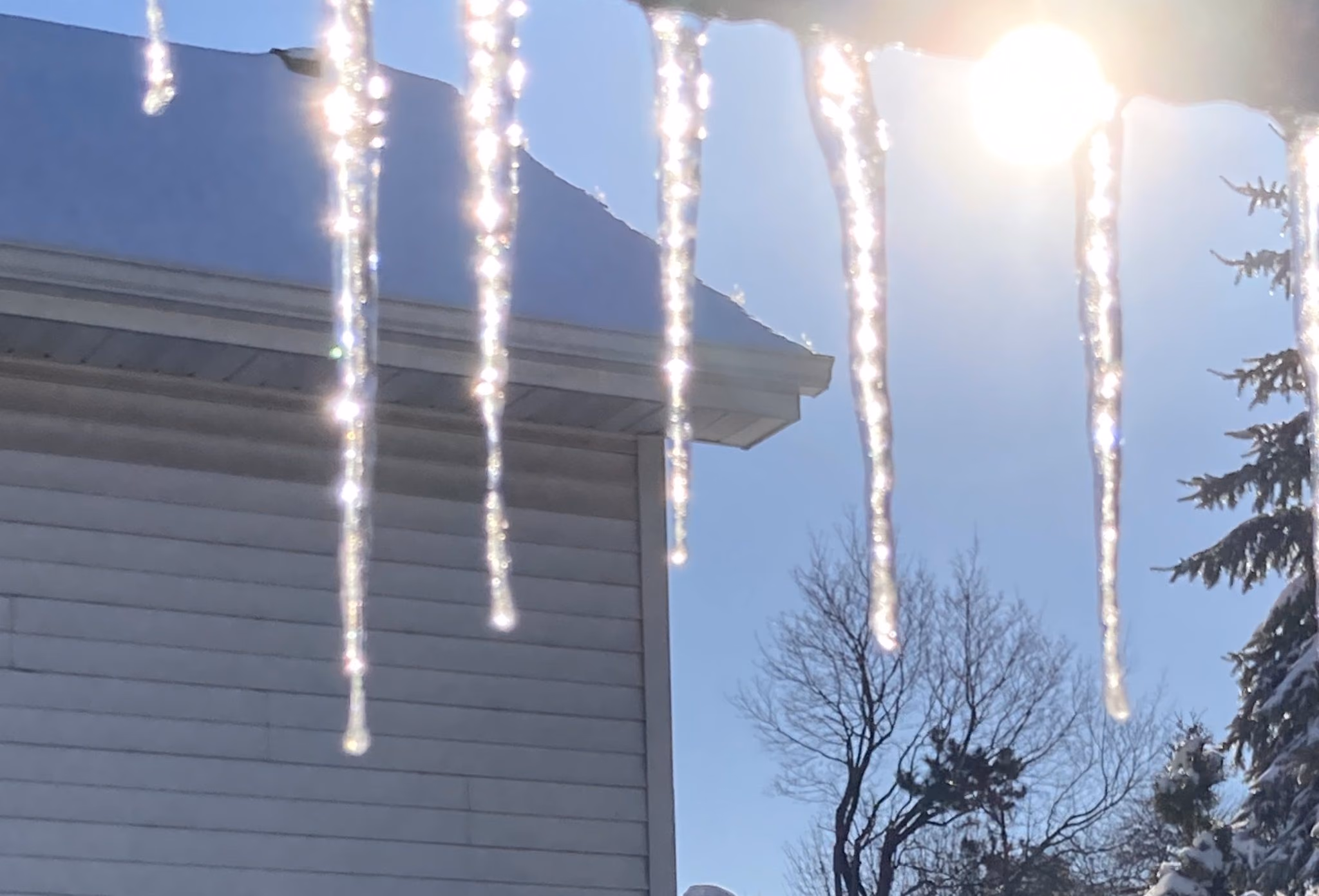 A row of icicles hanging from the edge of a snow-covered roof, lit from behind by low winter sun.