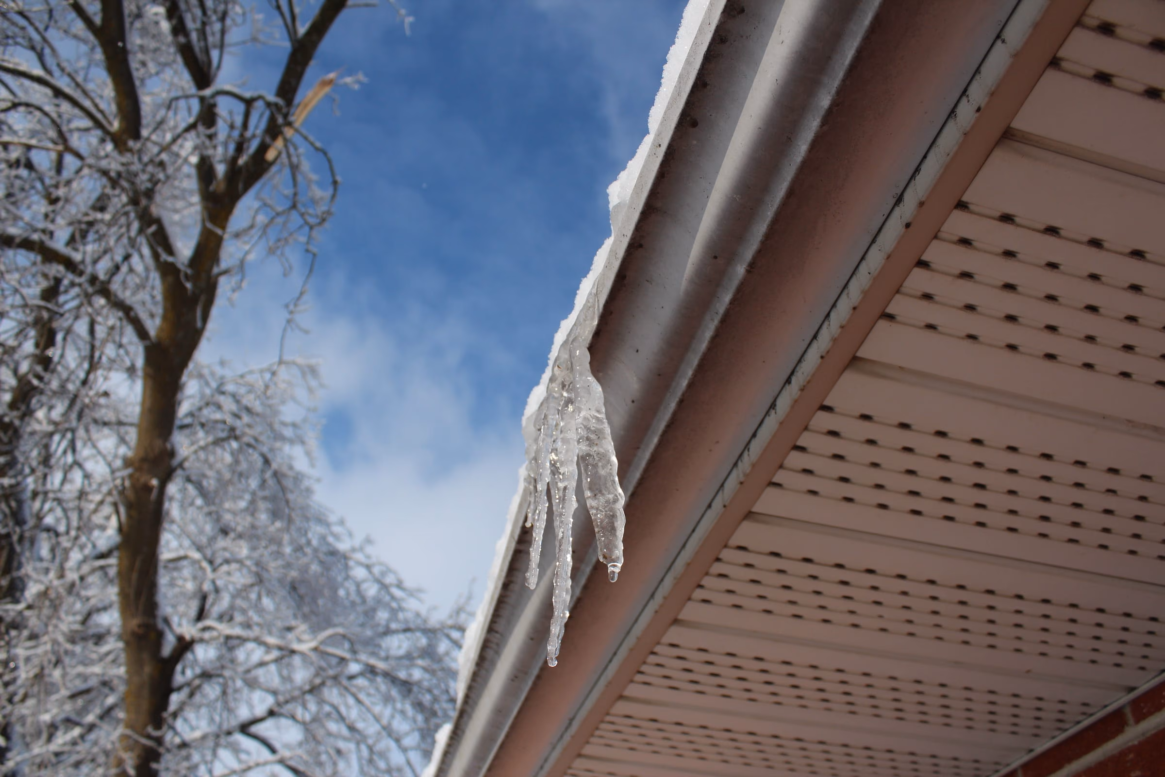 Icicles hanging from a white gutter along a house eave in winter, with vented soffit and horizontal siding visible beneath it.